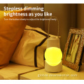 Rechargeable Bedside Cordless Lights Portable Cordless Lantern Table Lamp for Decoration Supplier